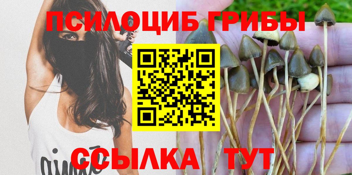 Галлюциногенные грибы MAGIC MUSHROOMS Алексин