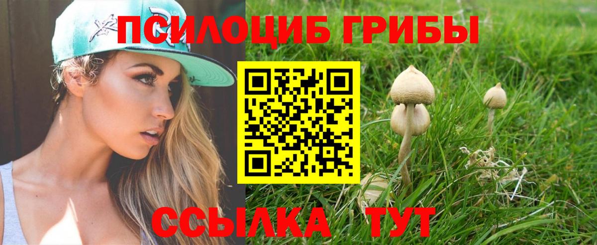 Алексин  Псилоцибиновые грибы Magic Shrooms  Вход с VPN 